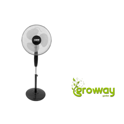 RAM Pedestal Fan