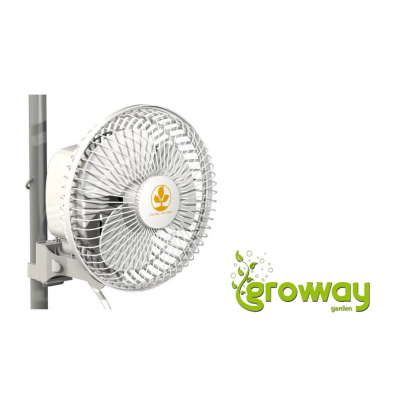Secret Jardin MONKEY FAN