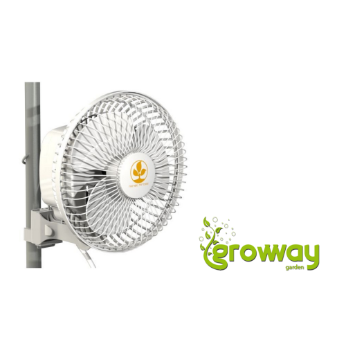 Secret Jardin MONKEY FAN