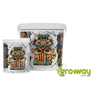 Monkey All In