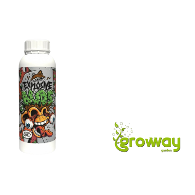Monkey Explosive Buds