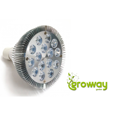LED žárovka SunPro PAR38 - 15W/2700K