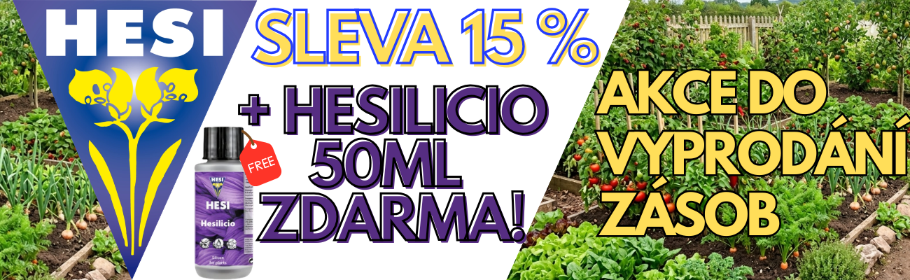 hesi