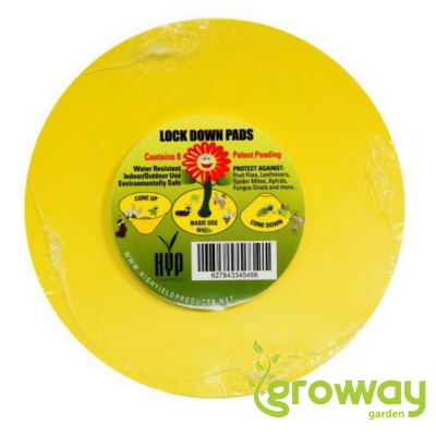 Kulaté desky lepové žluté Lock down pads, 15cm, 8ks