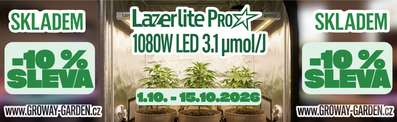 LAZERLITE