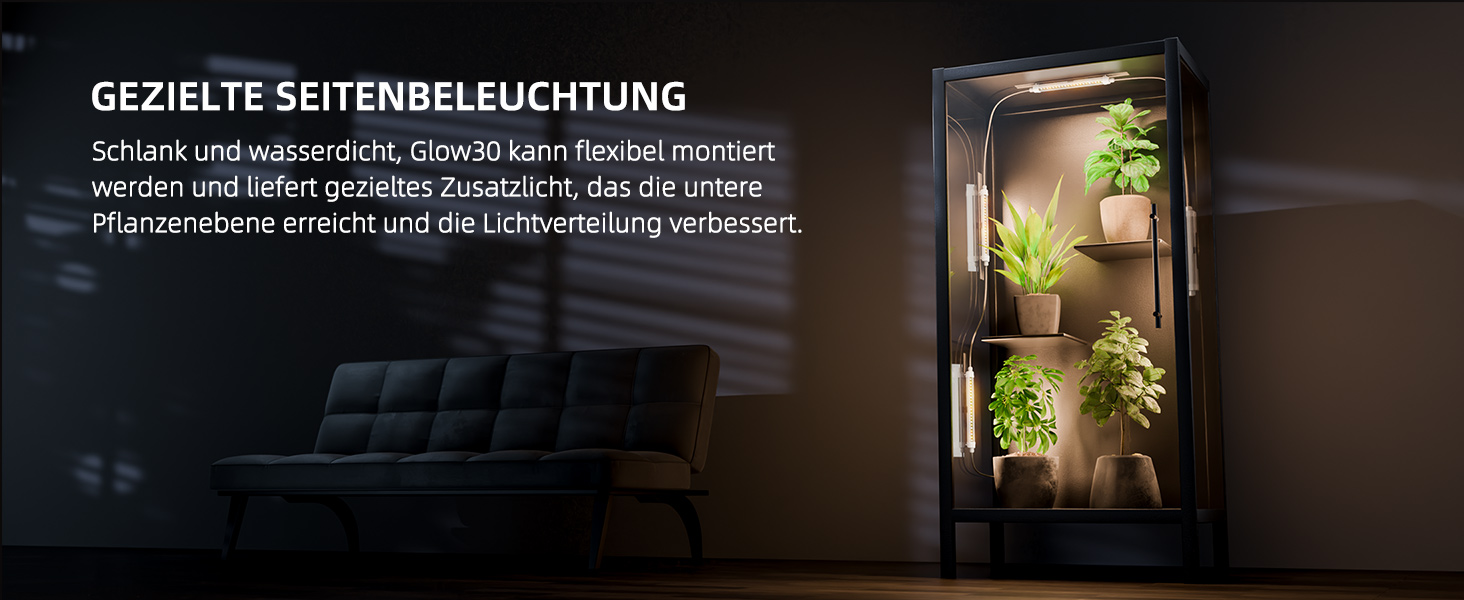 Fotografie
