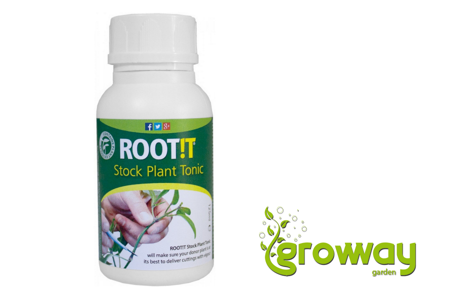 Root It - Stock plant tonic