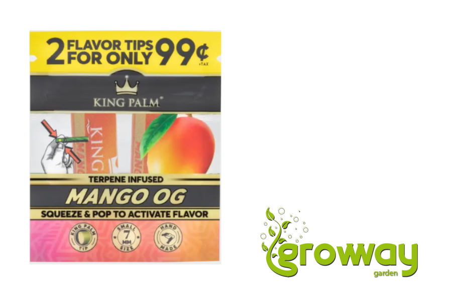 Filtry King Palm Mango OG