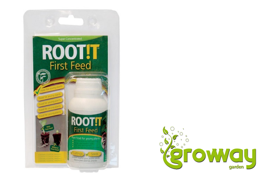 Root It - First Feed