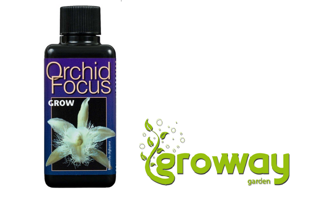 Growth Technology  Orchid Focus Grow