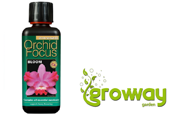 Growth Technology  Orchid Focus Bloom